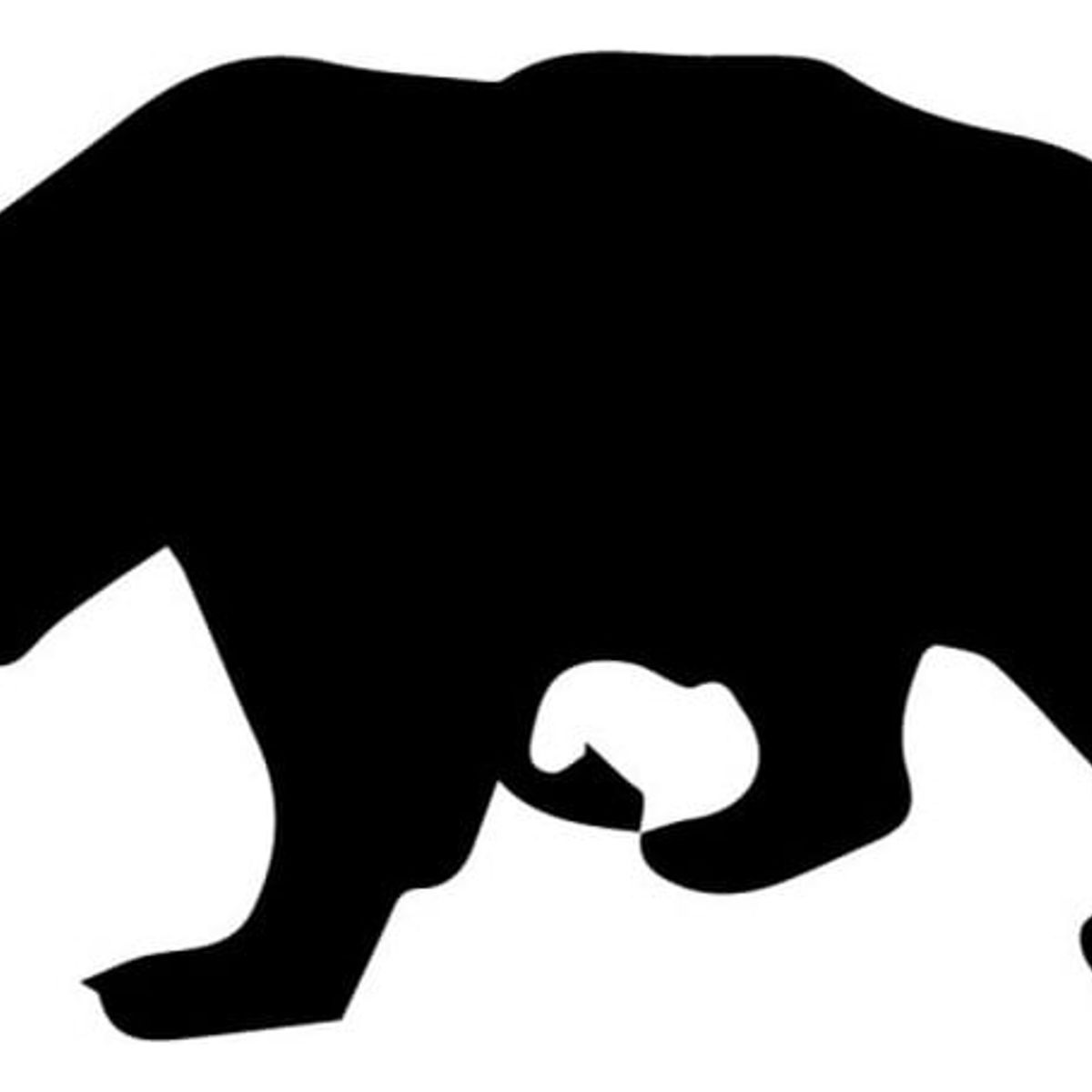 GENERICO - Decomural Brown Bear Woodland Animals WS-32697