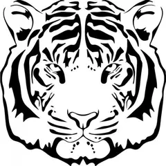 GENERICO - Decomural Tiger Head Big Cats WS-32708