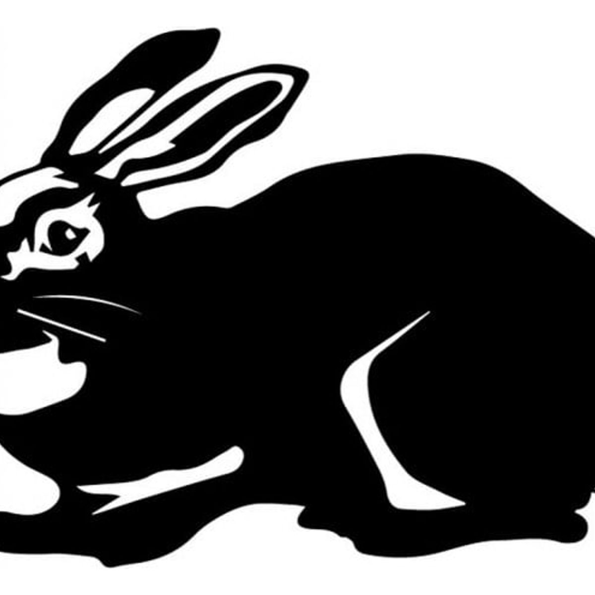 GENERICO - Decomural Rabbit Portrait Bunny WS-32711