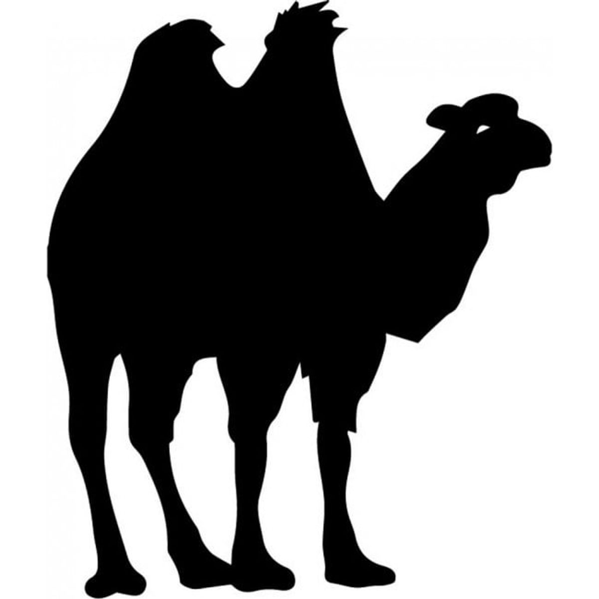 GENERICO - Decomural Camel Wild Animals WS-32712