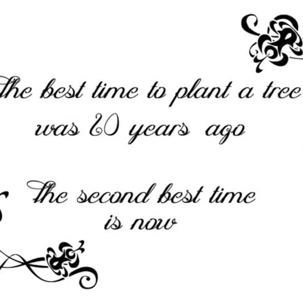 GENERICO - Decomural Start Now Inspirational WS-34293