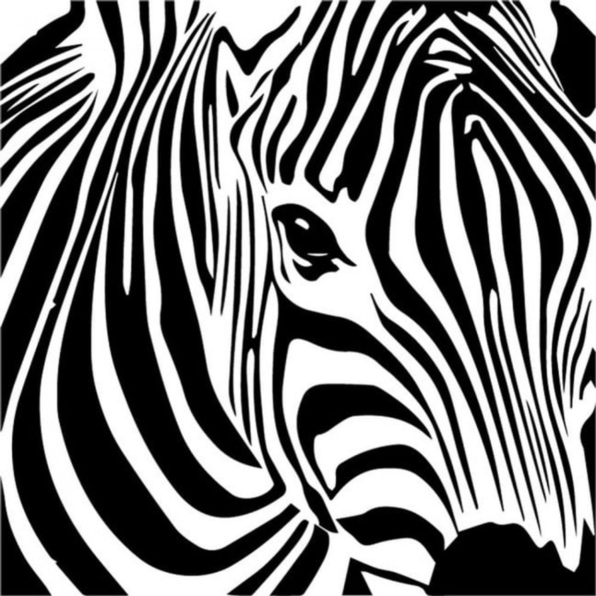 GENERICO - Decomural 3d Zebra Stripe WS-32745