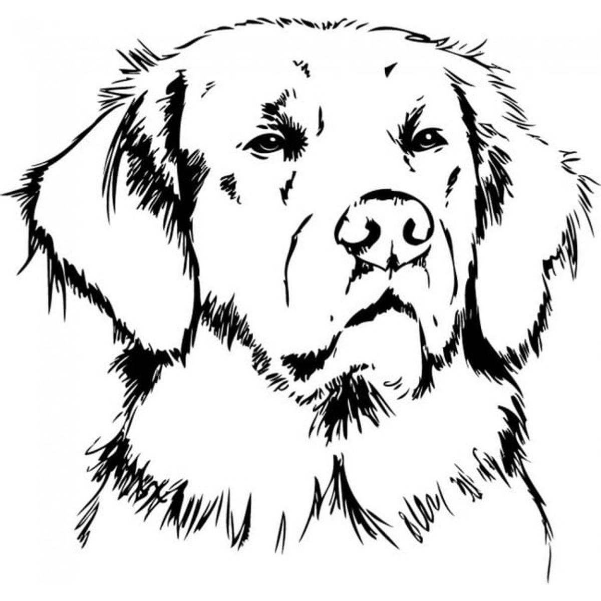 GENERICO - Decomural Golden Retriever Dog WS-32852