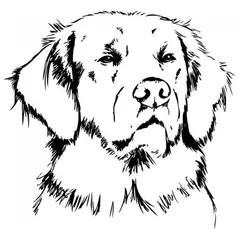 GENERICO - Decomural Golden Retriever Dog WS-32852