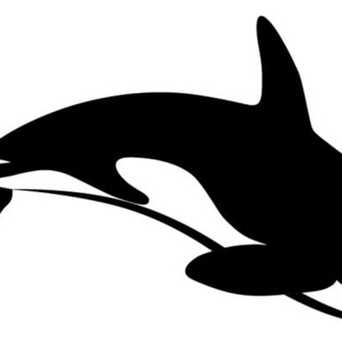 GENERICO - Decomural Killer Whale Sea Animal WS-32855