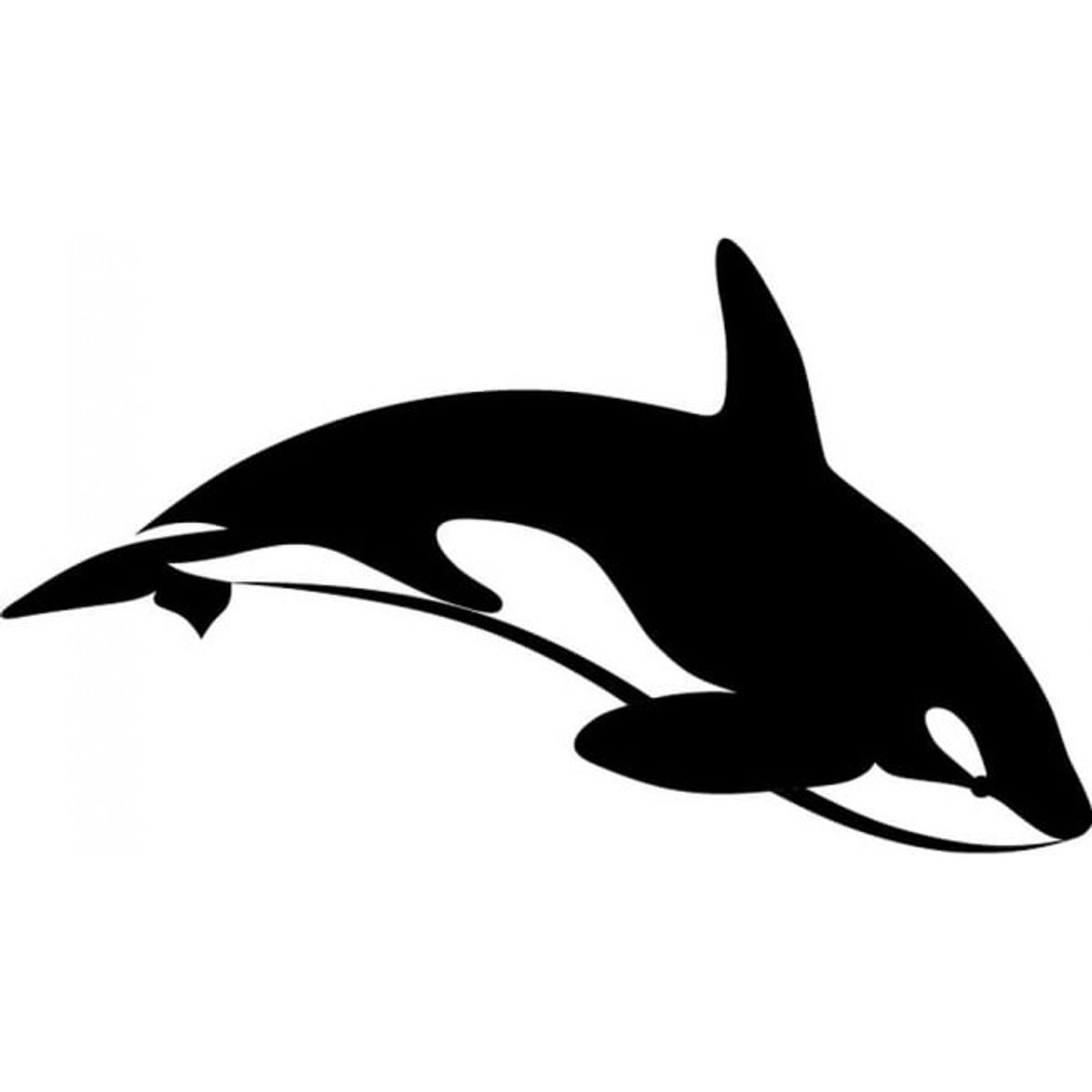 GENERICO - Decomural Killer Whale Sea Animal WS-32855