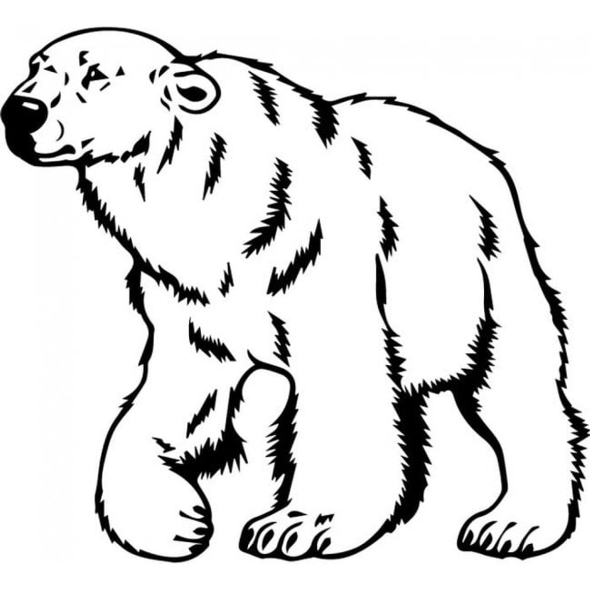 GENERICO - Decomural Polar Bear Arctic Animals WS-32887