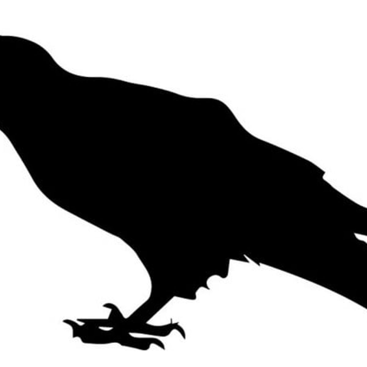 GENERICO - Decomural Cawing Raven Bird WS-32901