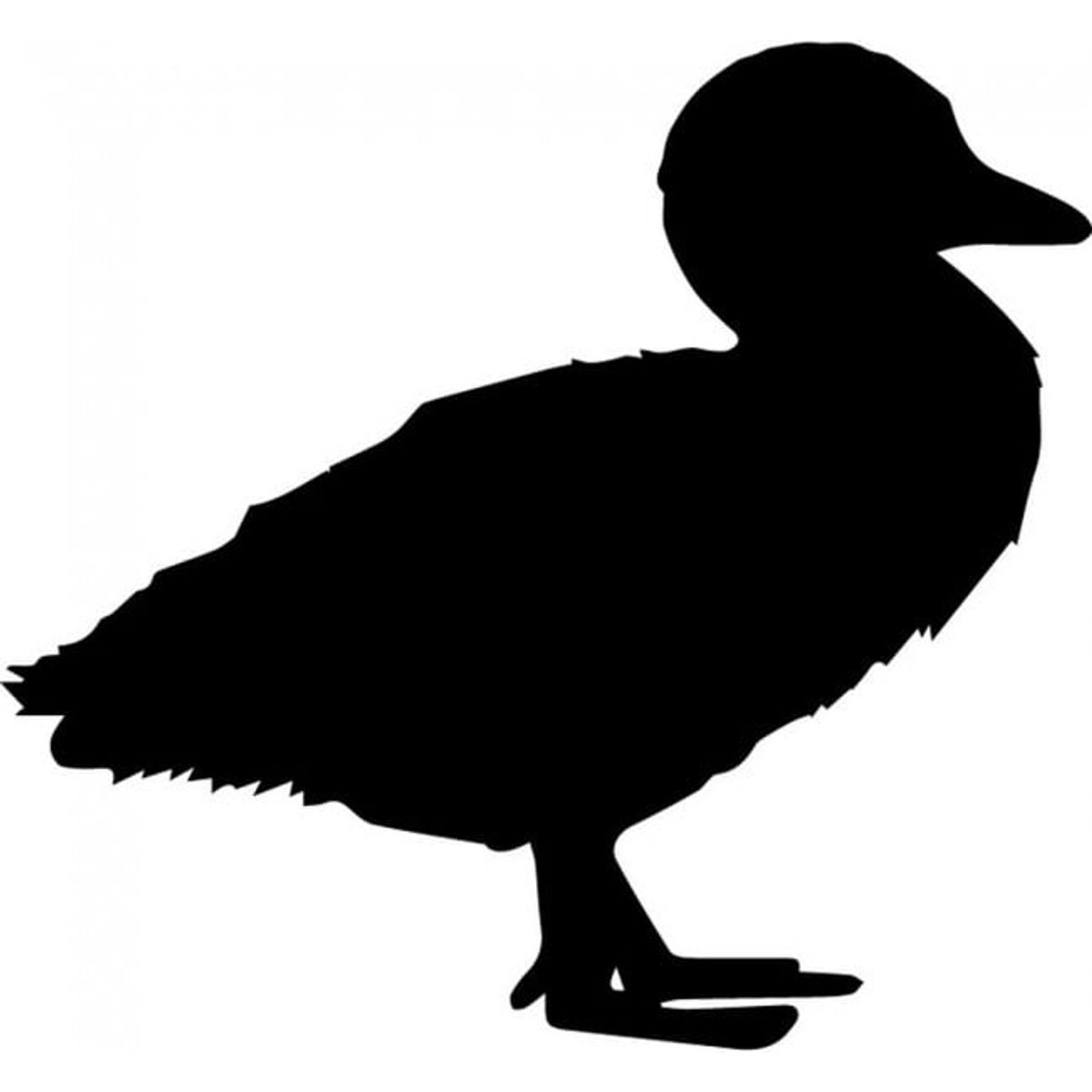 GENERICO - Decomural Duck Bird WS-32910