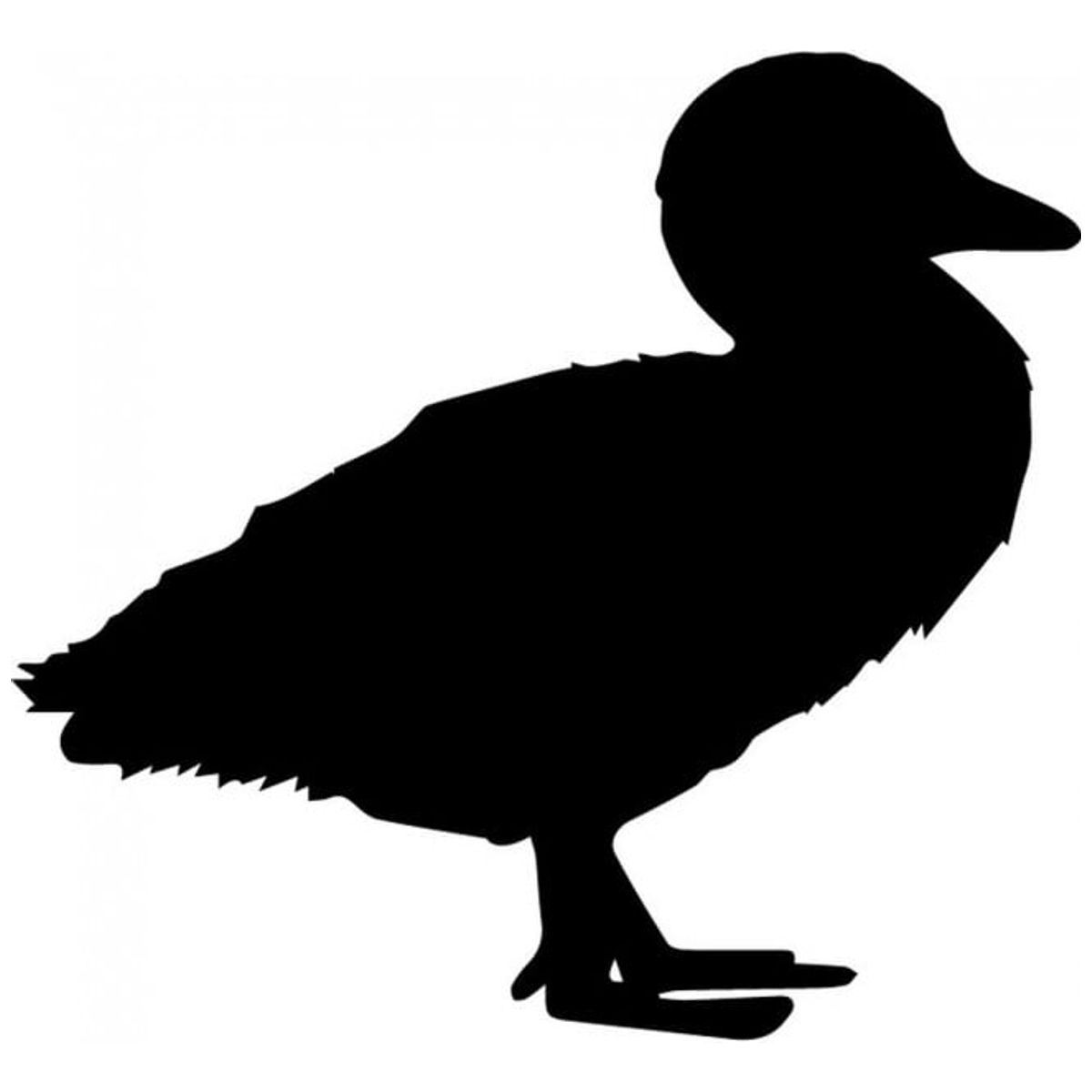 GENERICO - Decomural Duck Bird WS-32910