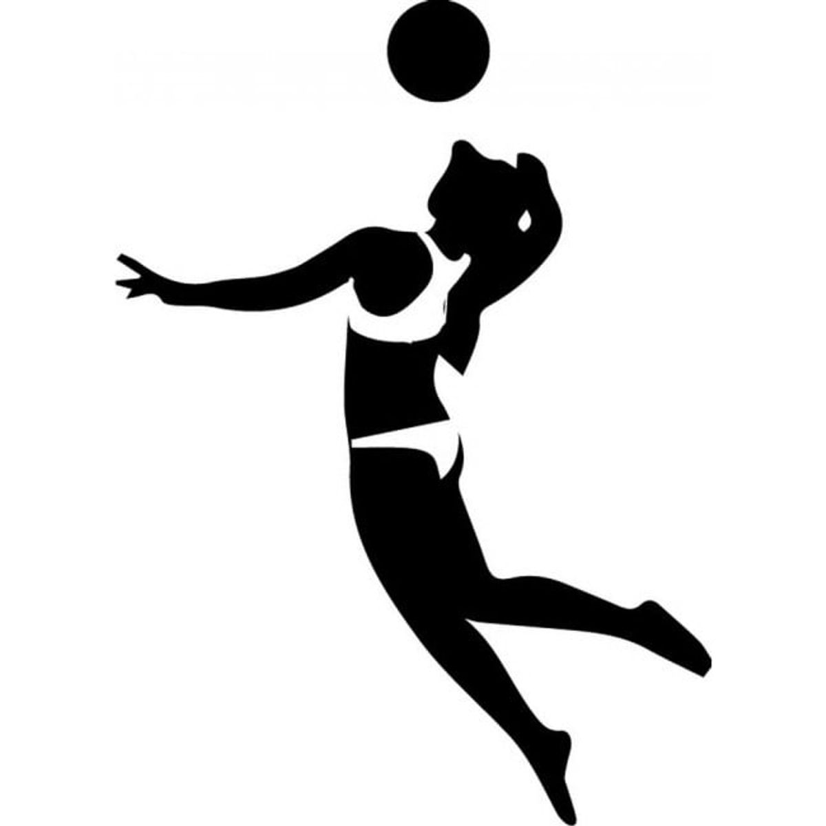 GENERICO - Decomural Beach Volleyball Sports WS-32956
