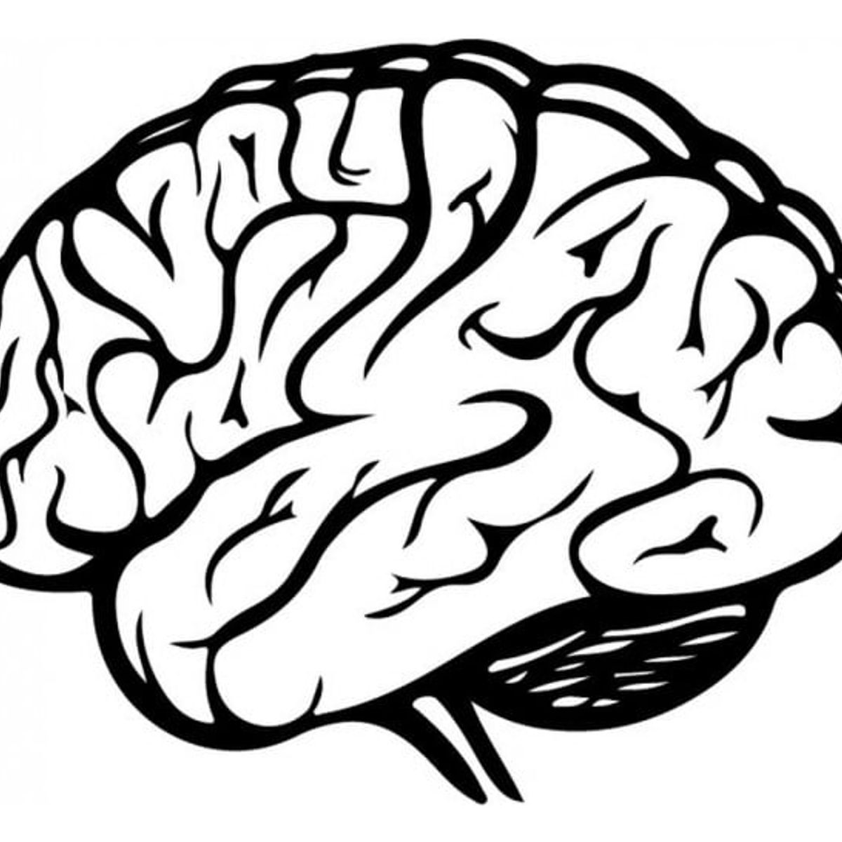 Decomural Human Brain Science WS-32978, marca GENERICO - Foto Principal