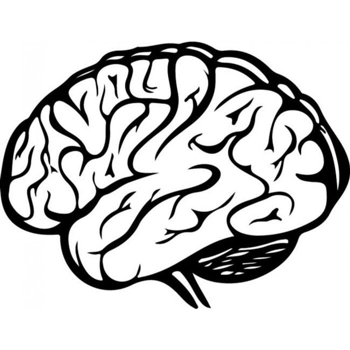 Decomural Human Brain Science WS-32978, marca GENERICO - Foto Principal