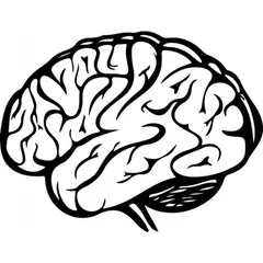 GENERICO - Decomural Human Brain Science WS-32978