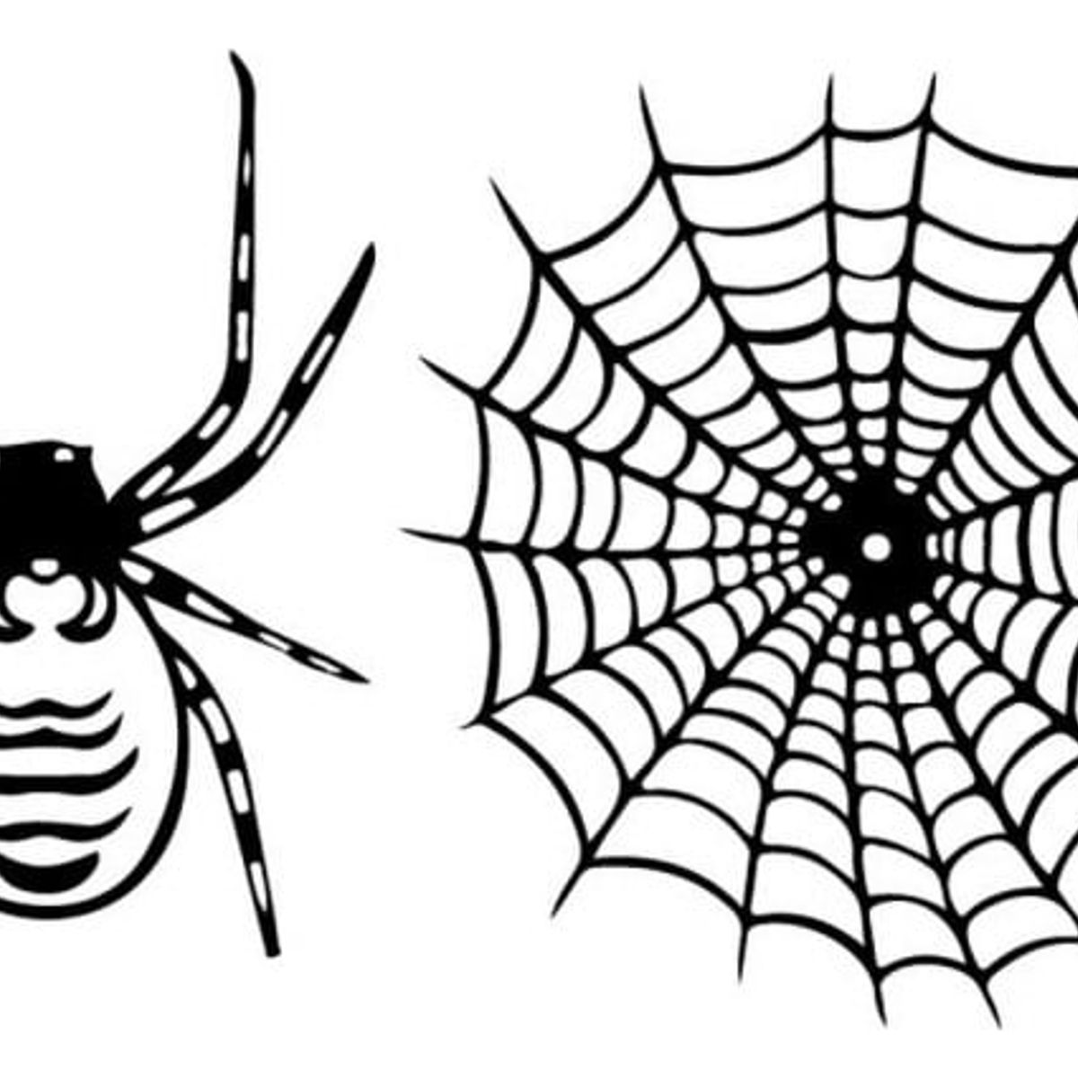 GENERICO - Decomural Spider Web Halloween WS-32984