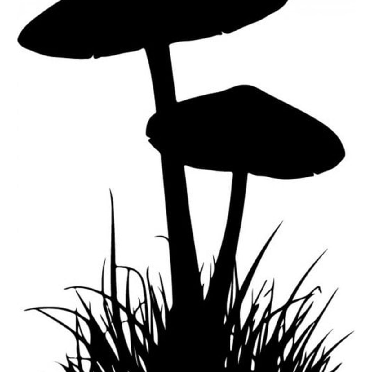 GENERICO - Decomural Mushroom Flowers Flowers Trees WS-33016