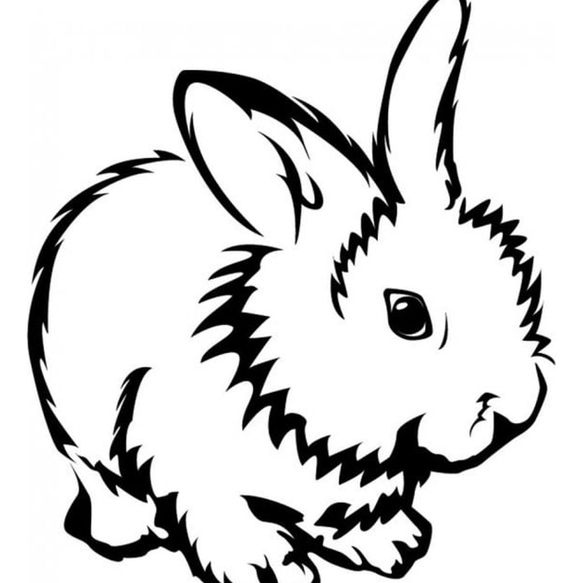 GENERICO - Decomural Cute Rabbit Pet Animals WS-33024