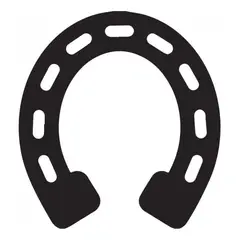 GENERICO - Decomural Horseshoe Lucky Charm Pack WS-44275