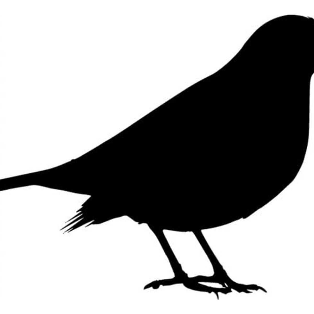 GENERICO - Decomural Sparrow Bird Pack WS-33044