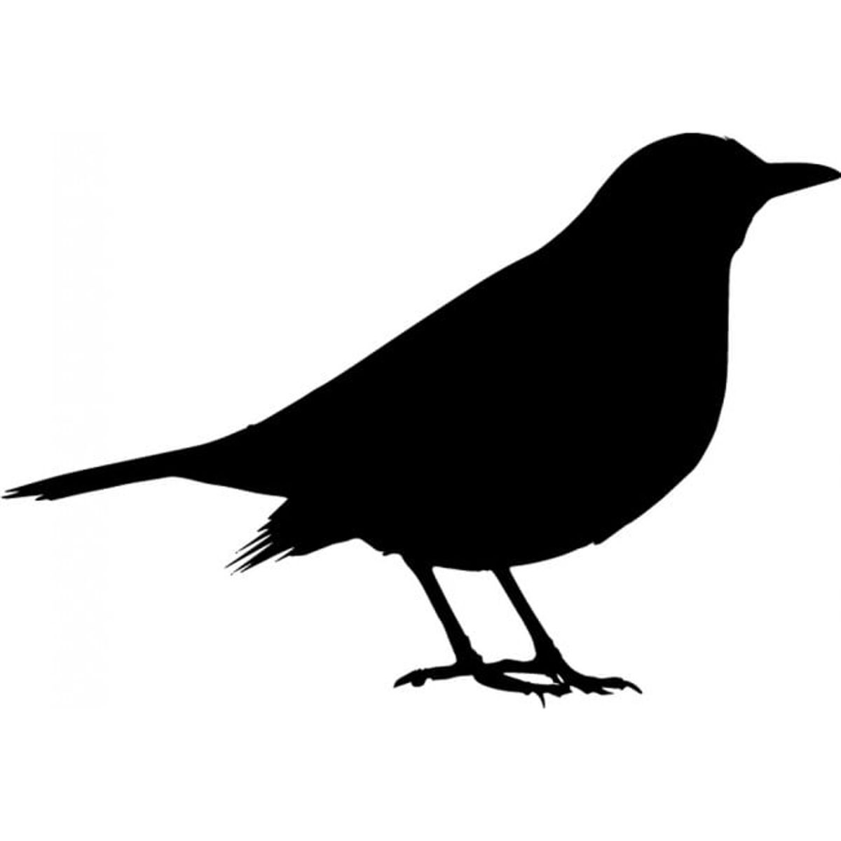 GENERICO - Decomural Sparrow Bird Pack WS-33044