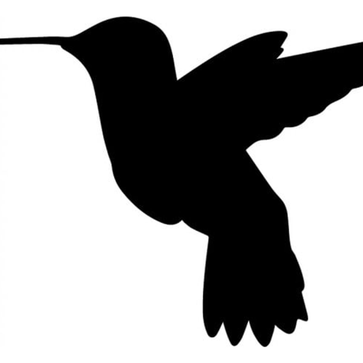 GENERICO - Decomural Hummingbird Bird Pack WS-33046