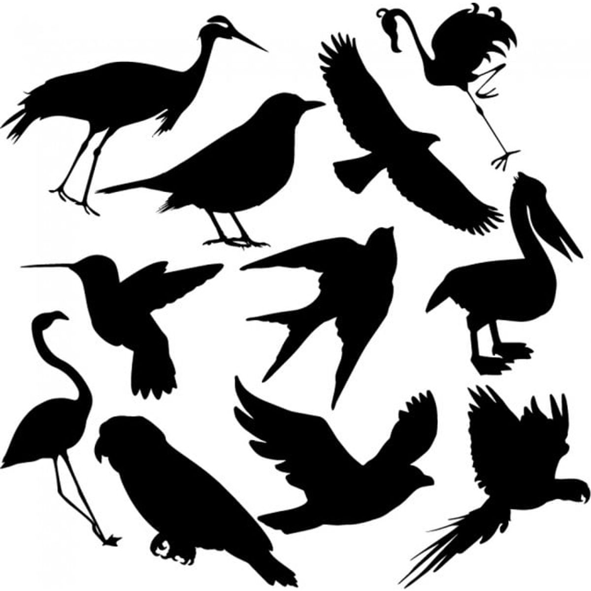 GENERICO - Decomural Bird Group Flamingo Parrot Set WS-33049