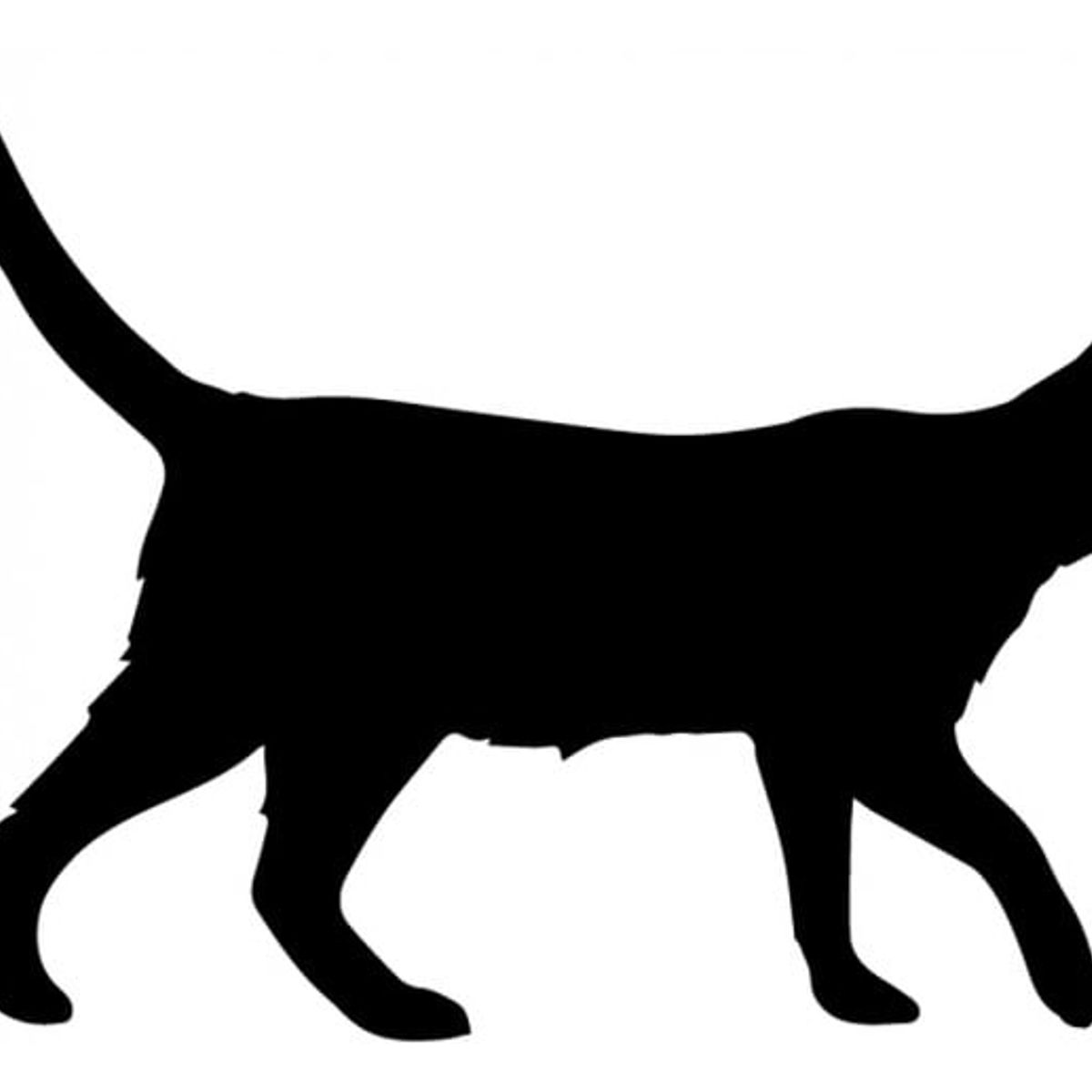 GENERICO - Decomural Walking Cat Animals Pets Pack WS-33052