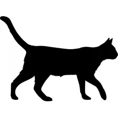 GENERICO - Decomural Walking Cat Animals Pets Pack WS-33052
