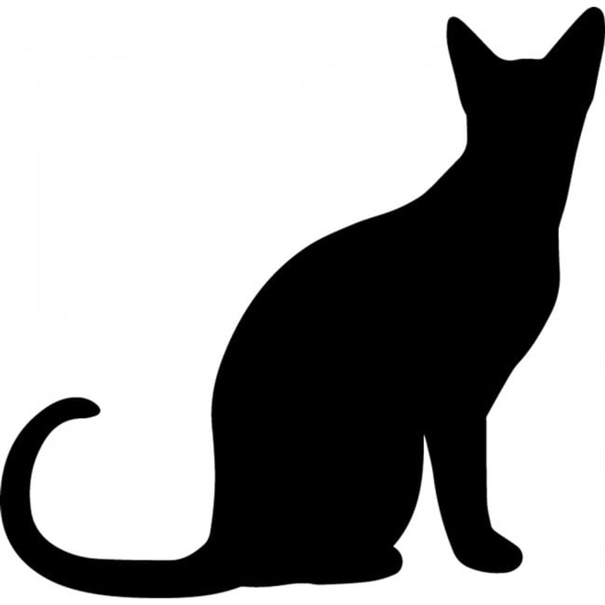 GENERICO - Decomural Black Cat Animals Pets Pack WS-33054