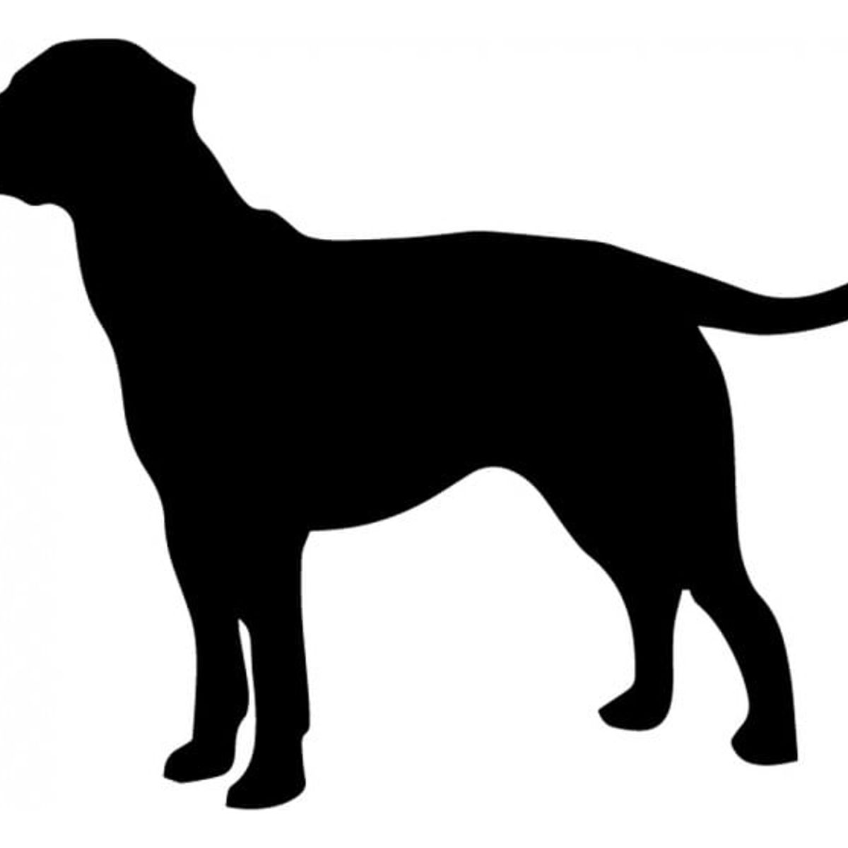 GENERICO - Decomural Labrador Dog Pack WS-33063