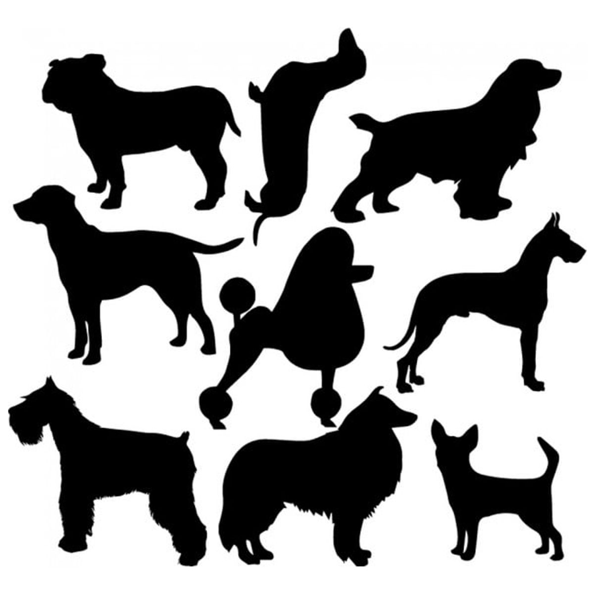 GENERICO - Decomural Dog Breeds Dog Grooming Set WS-33065