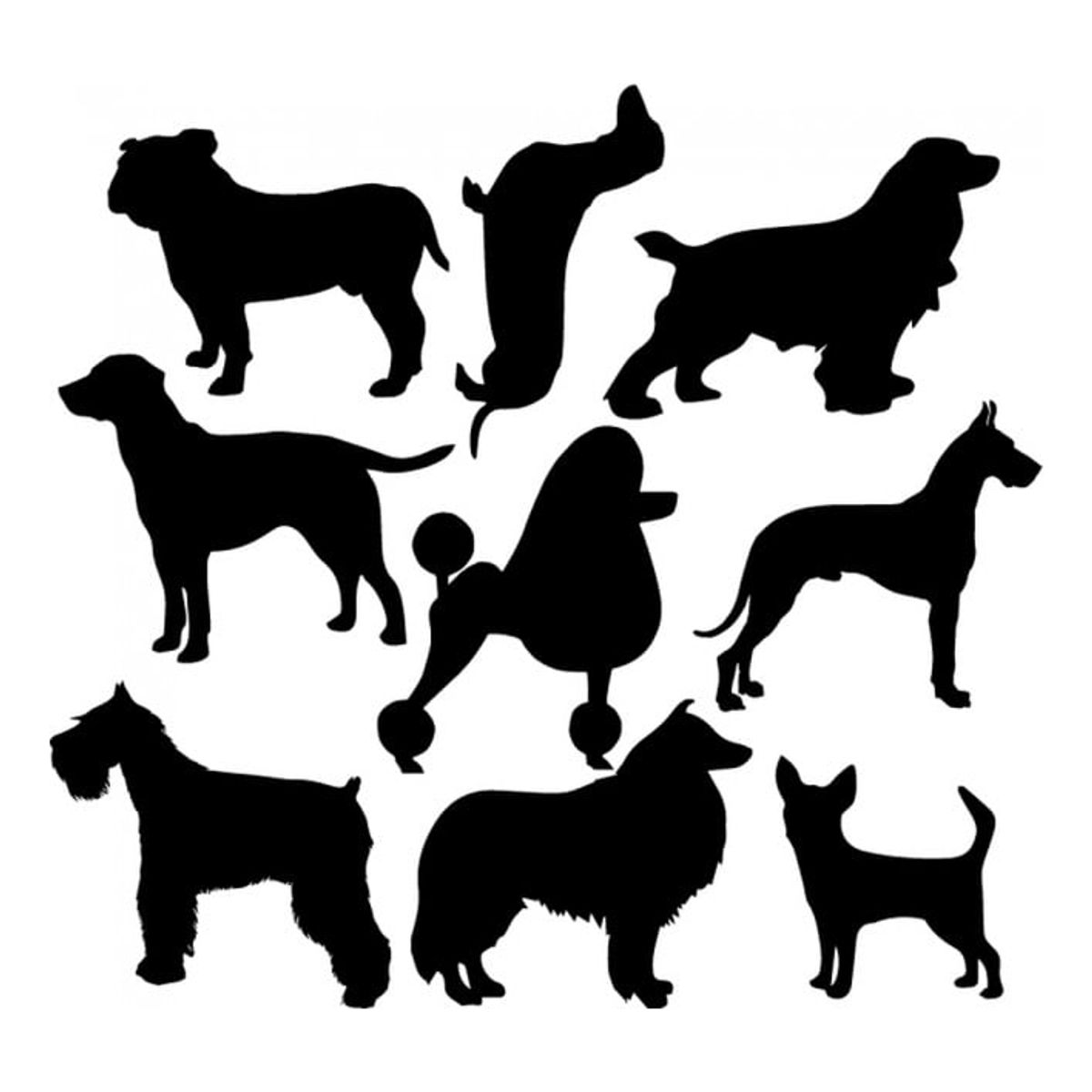 GENERICO - Decomural Dog Breeds Dog Grooming Set WS-33065