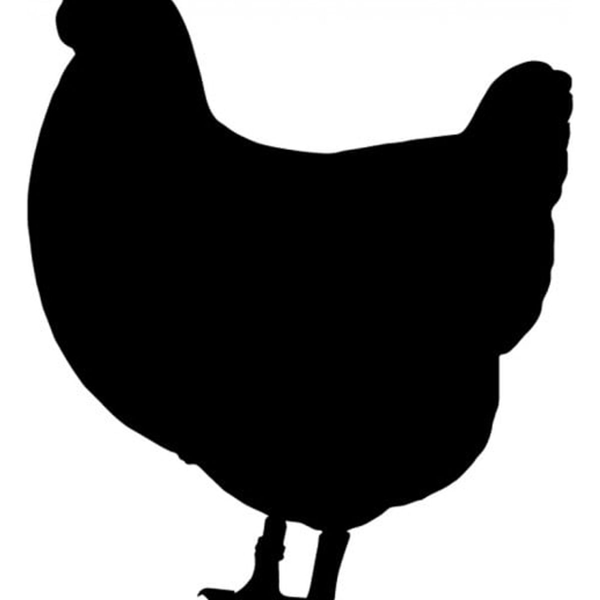 GENERICO - Decomural Chicken Farm Animals Pack WS-33069