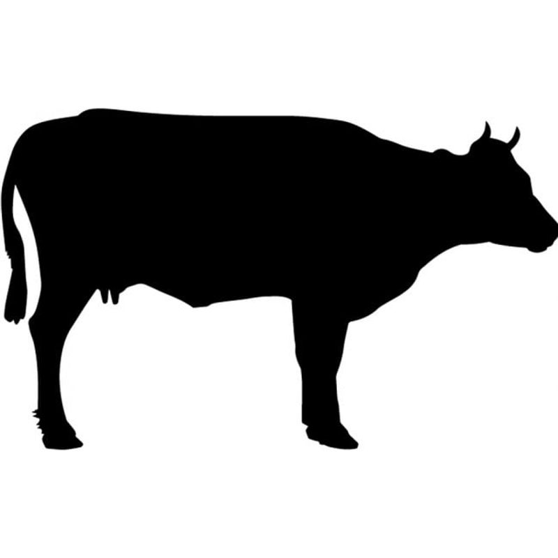 GENERICO - Decomural Cow Farm Animals Pack WS-33070
