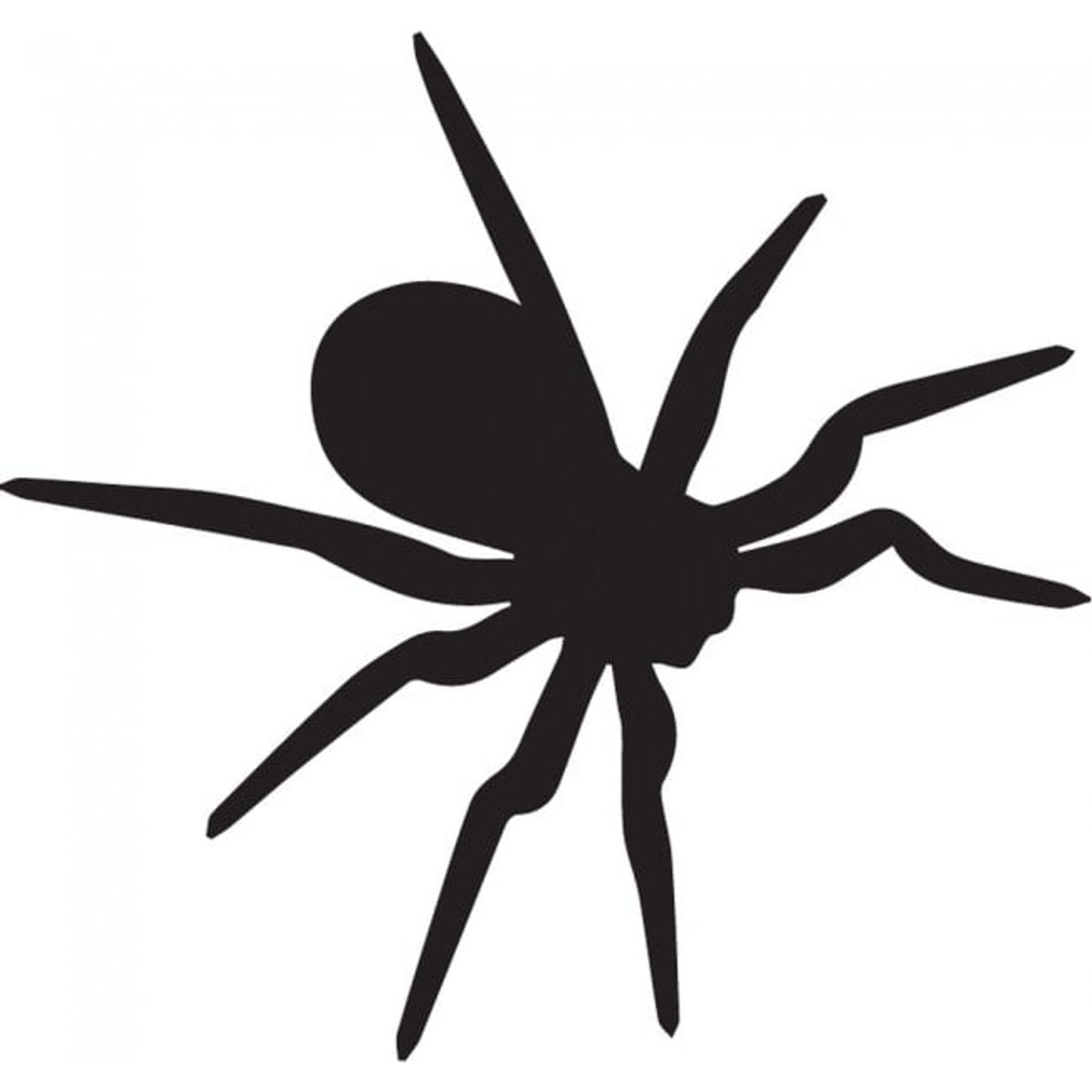 GENERICO - Decomural Tarantula Insects Spiders Pack WS-33076