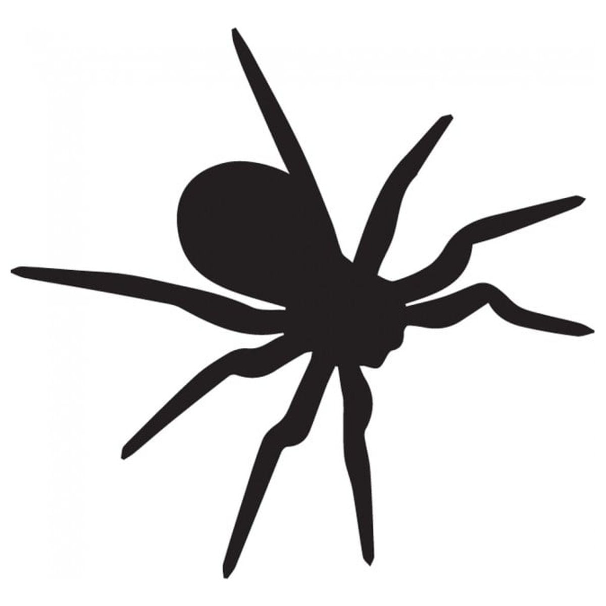 GENERICO - Decomural Tarantula Insects Spiders Pack WS-33076