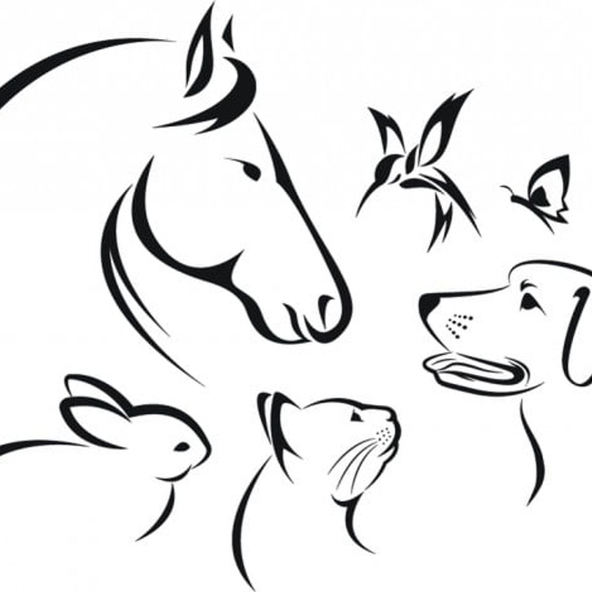 GENERICO - Decomural Pet Animals Dog Cat Horse WS-44785