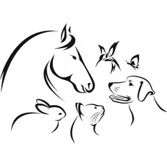 GENERICO - Decomural Pet Animals Dog Cat Horse WS-44785