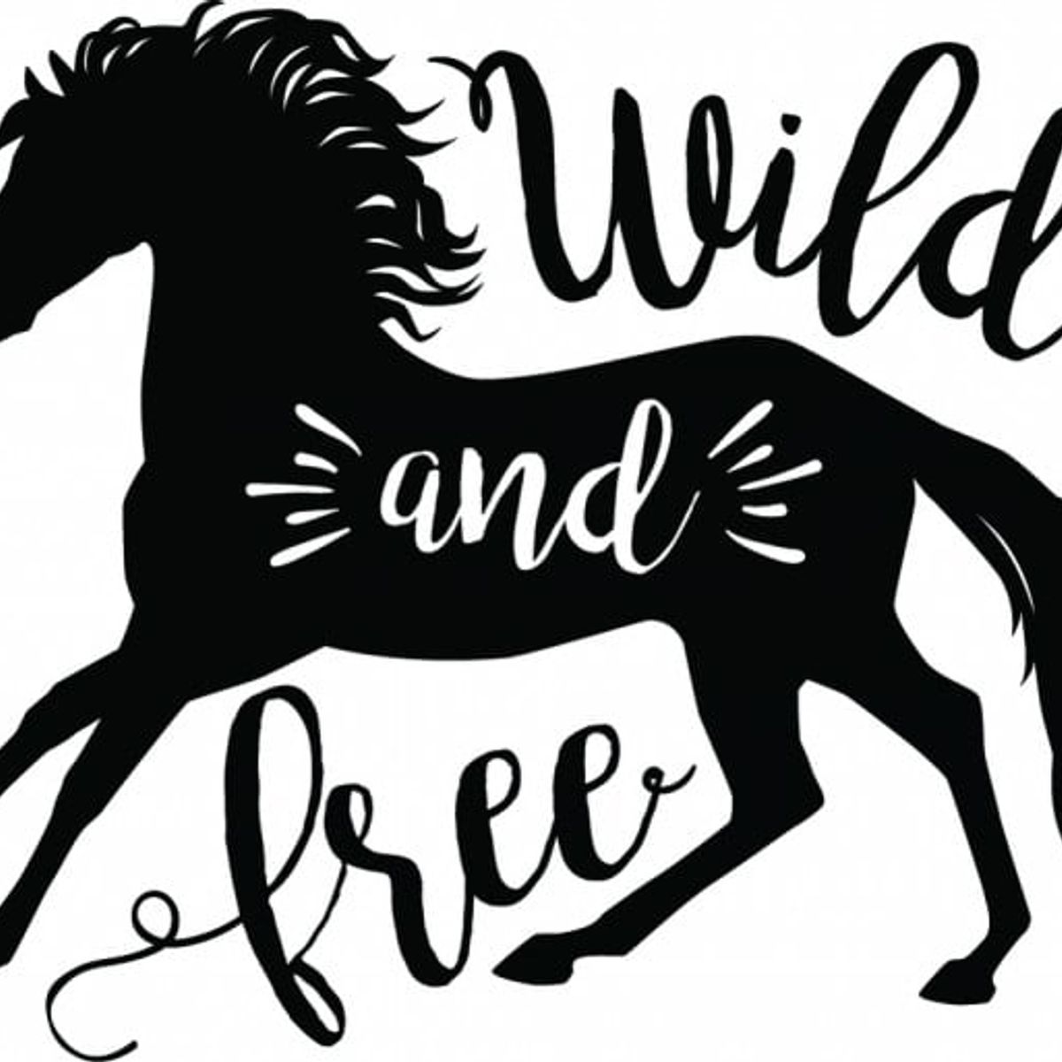GENERICO - Decomural Wild And Free Horse WS-45060
