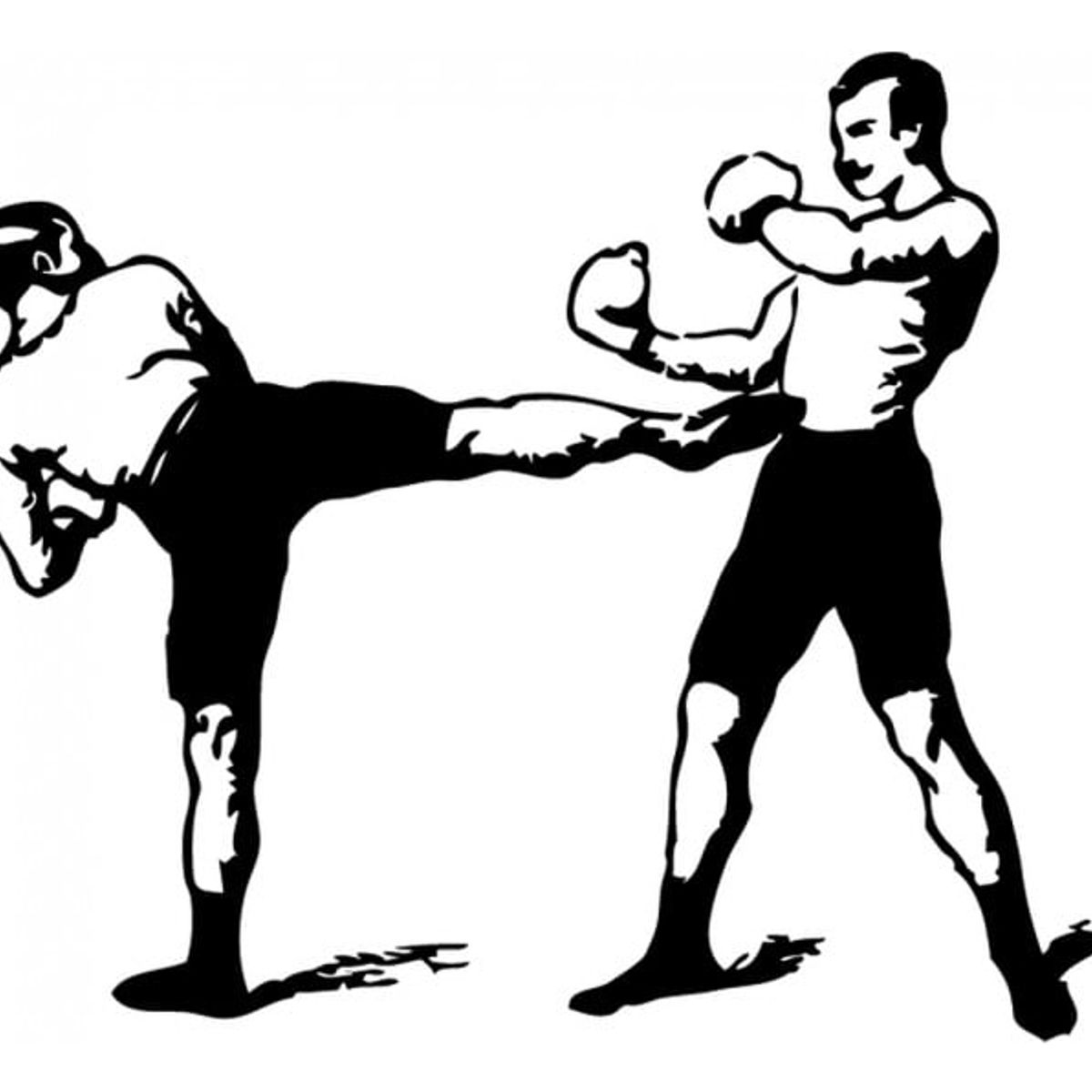 GENERICO - Decomural Kickboxing Fight Boxing Sport WS-34558