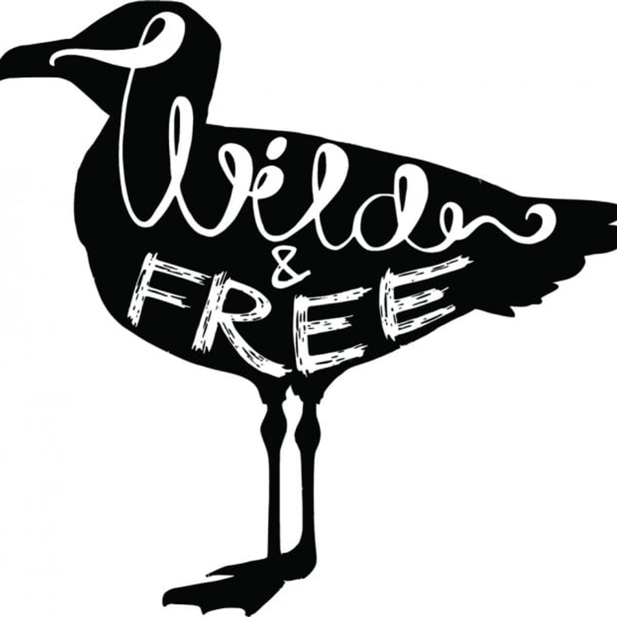 GENERICO - Decomural Wild & Free Bird WS-45437