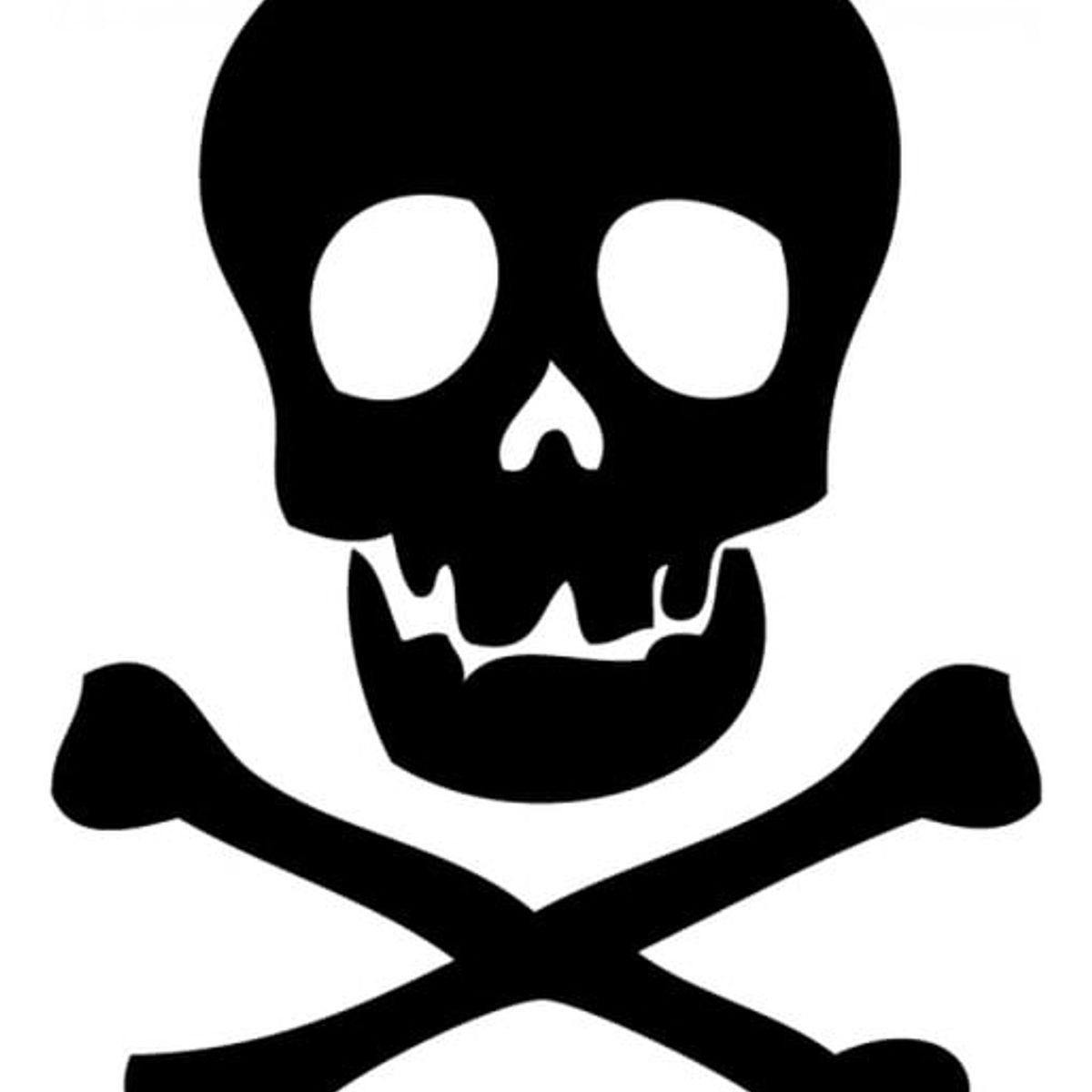 GENERICO - Decomural Skull And Crossbones Pirate WS-34596