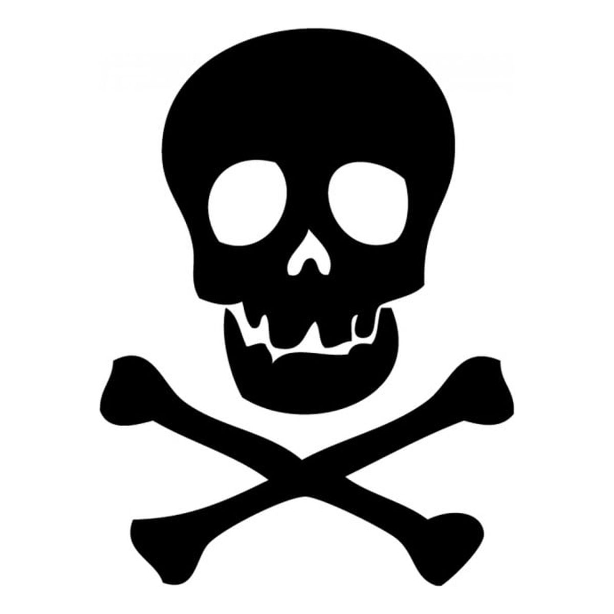 GENERICO - Decomural Skull And Crossbones Pirate WS-34596