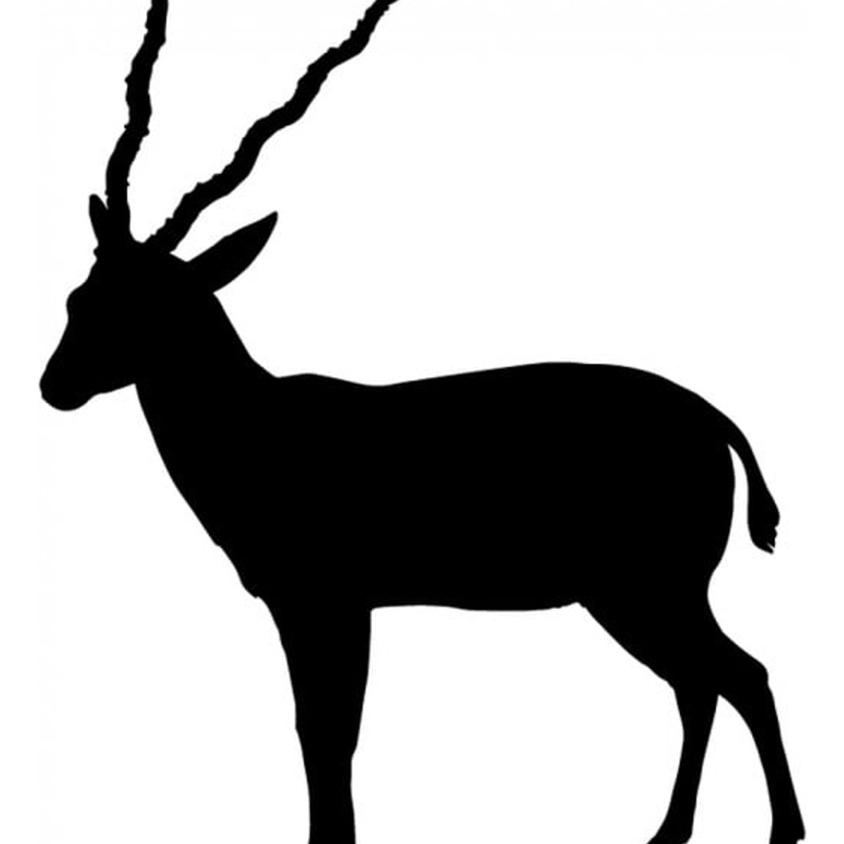 GENERICO - Decomural Antelope Wild Animal Pack WS-33191