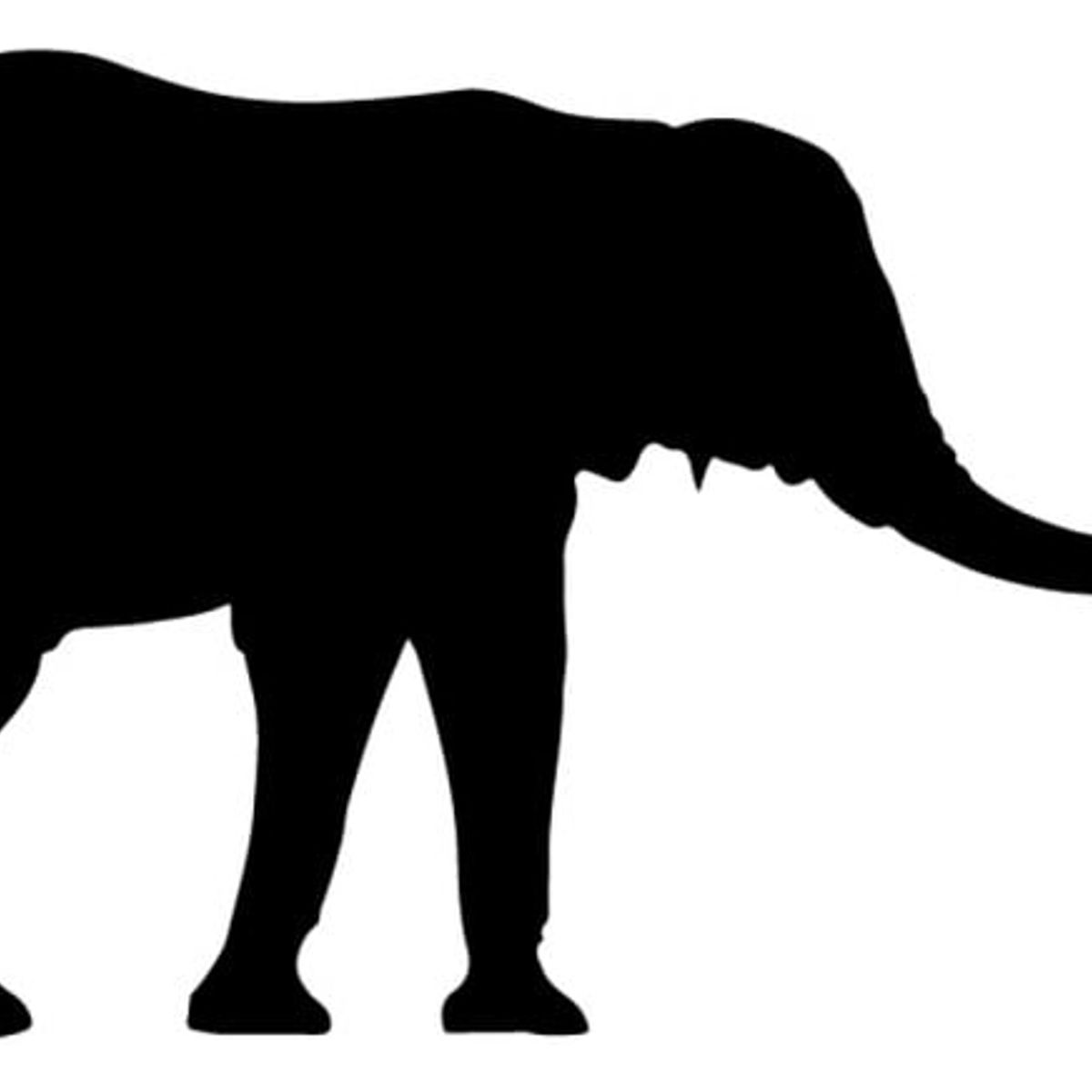 GENERICO - Decomural Elephant Safari Animals Pack WS-33192
