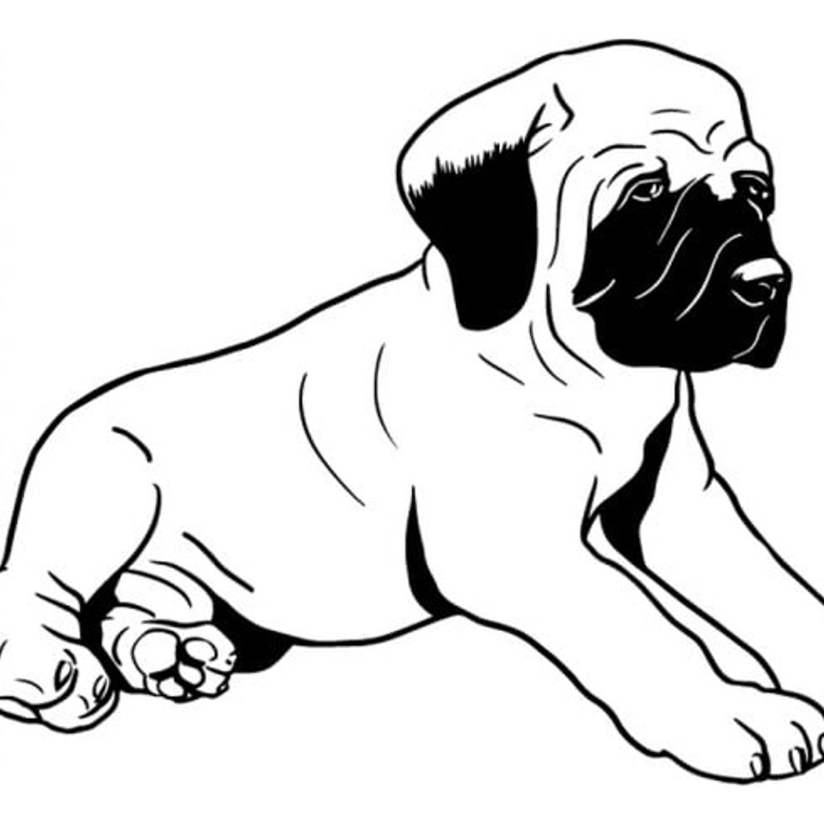 GENERICO - Decomural Bull Mastiff Puppy Pet Dogs WS-34678