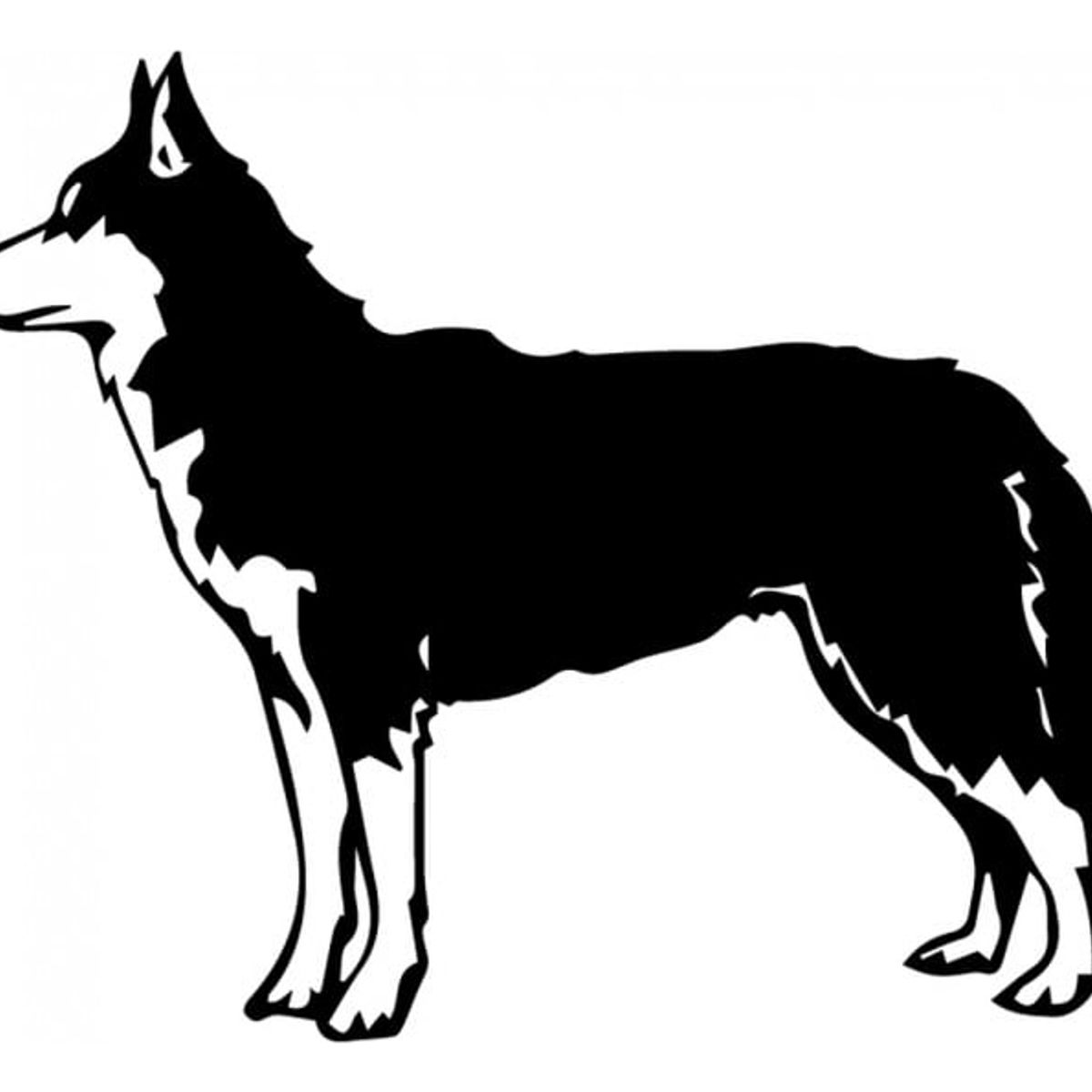 GENERICO - Decomural Husky Portrait Dog Wall Art WS-34703