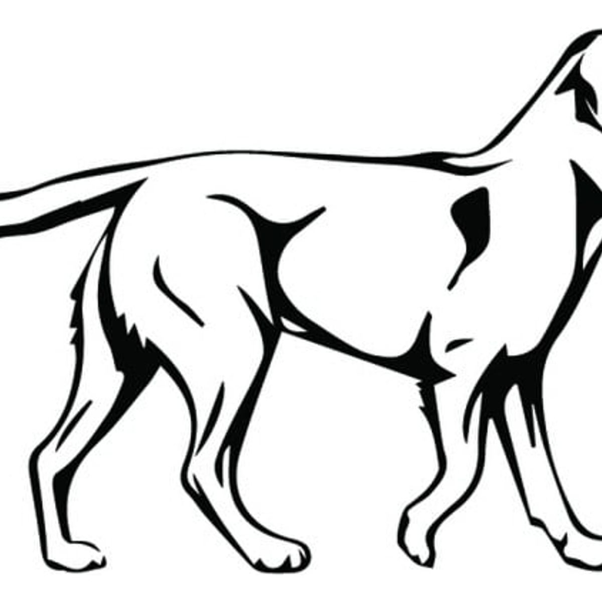 GENERICO - Decomural Labrador Retriever Pet Dog WS-34709