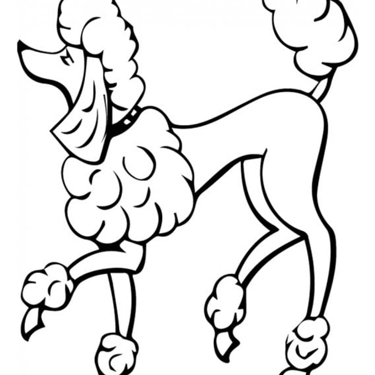 GENERICO - Decomural Poodle Portrait Dogs Pets WS-34713