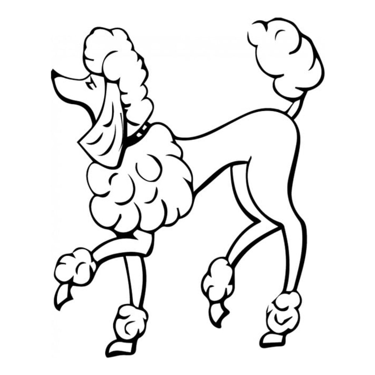 GENERICO - Decomural Poodle Portrait Dogs Pets WS-34713